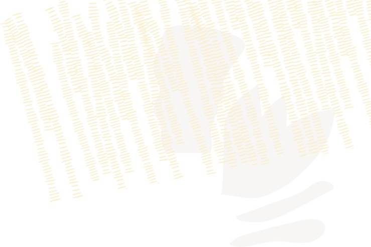 Seamless NetSuite to Shopify Integration: Middleware Best Practices That Scale